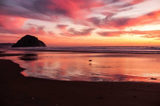 Holiday Rental Photography: Listing Photos That Get Booked